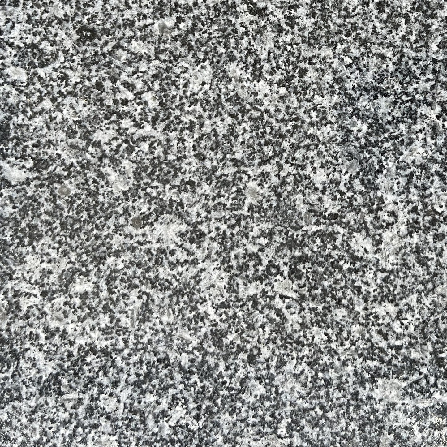 Impala Gray