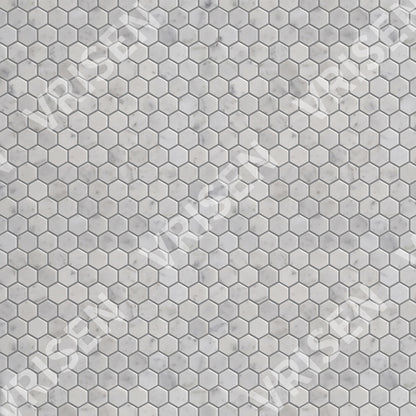 Carrara White Mosaic Polished 1" Hexagon