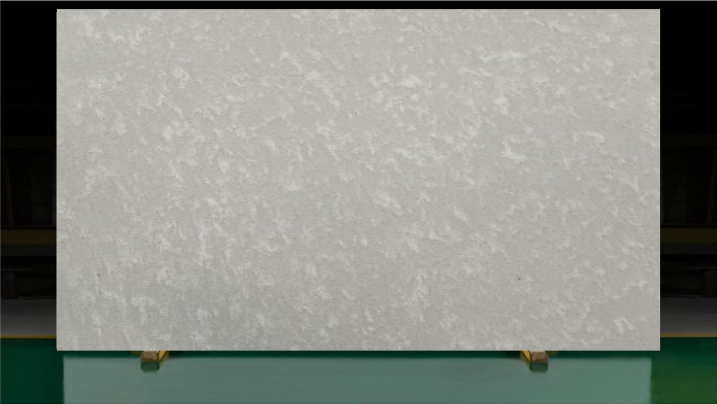 VG530