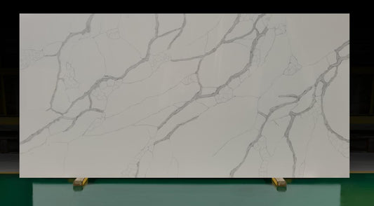 VG9019